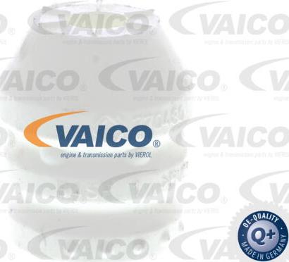 VAICO V10-3350 - Atraminis buferis, pakaba autorebus.lt
